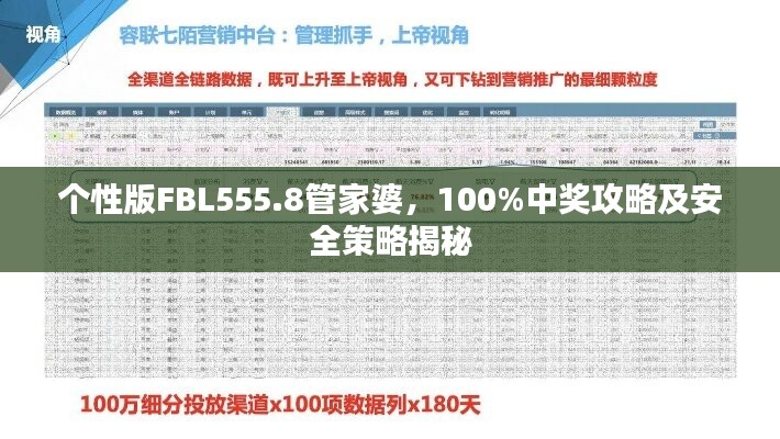 个性版FBL555.8管家婆，100%中奖攻略及安全策略揭秘