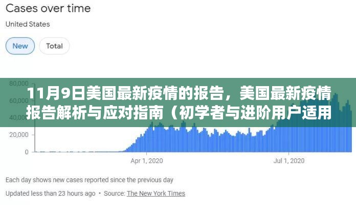 美国最新疫情报告解析与应对指南，从初学者到进阶用户的全方位指南（11月9日更新）