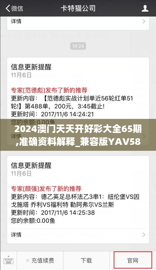 2024澳门天天开好彩大全65期,准确资料解释_兼容版YAV584.44