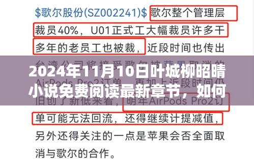 叶城柳昭晴小说免费阅读最新章节，获取与阅读详细步骤指南