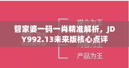 管家婆一码一肖精准解析，JDY992.13未来版核心点评