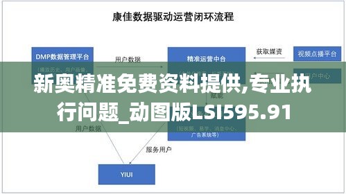 新奥精准免费资料提供,专业执行问题_动图版LSI595.91