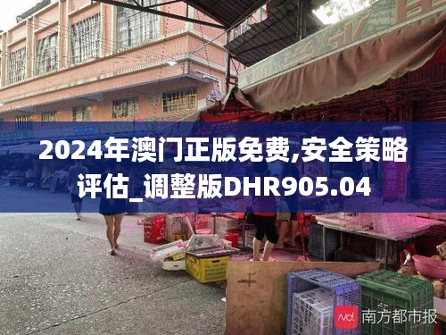 2024年澳门正版免费,安全策略评估_调整版DHR905.04