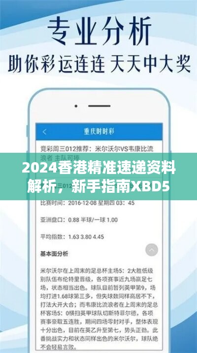 2024香港精准速递资料解析，新手指南XBD561.77