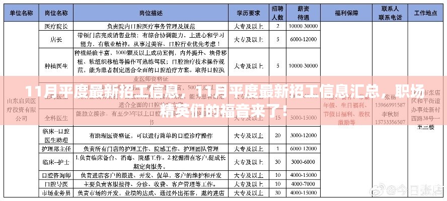 11月平度最新招工信息汇总，职场精英们的求职福音