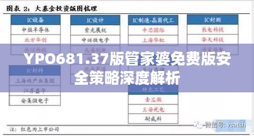 YPO681.37版管家婆免费版安全策略深度解析