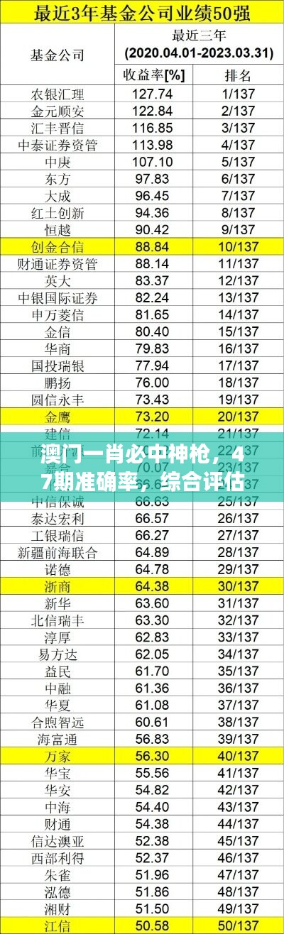 澳门一肖必中神枪，47期准确率，综合评估标准与投入分析LMX485.22