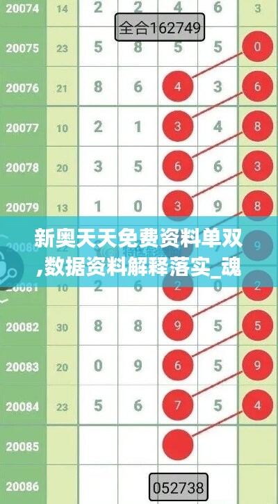 新奥天天免费资料单双,数据资料解释落实_魂银版VXD934.24