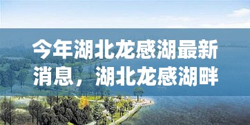 湖北龙感湖畔夏日温馨故事，友情、爱与陪伴的传奇之旅