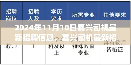 嘉兴司机最新招聘信息及行业背景深度解析（2024年11月）