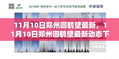 11月10日郑州回鹤壁最新动态下的观点探讨与反思