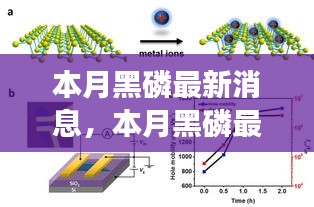 本月黑磷最新动态，科技前沿的进展与影响揭秘