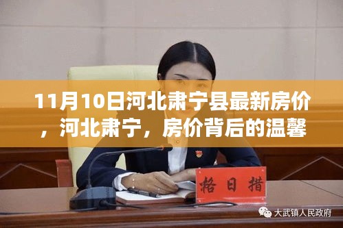 河北肃宁县房价背后的温馨故事，最新房价动态揭秘（11月10日）