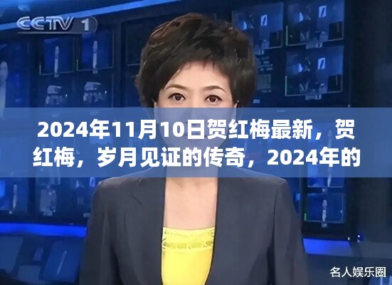 贺红梅，岁月传奇的新篇章，2024年11月10日最新动态