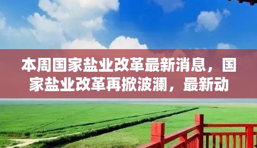 国家盐业改革最新动态，进展、背景与深远影响再掀波澜