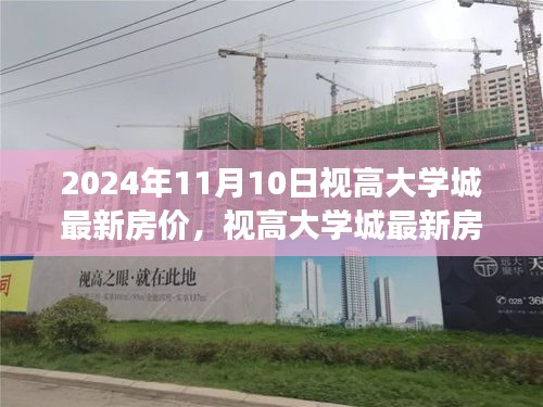 2024年11月10日视高大学城最新房价动态及解析