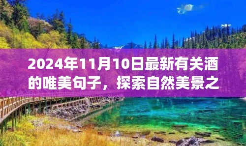 酒与自然的交响乐章，探索美景之旅的奇妙冒险（2024年1月）