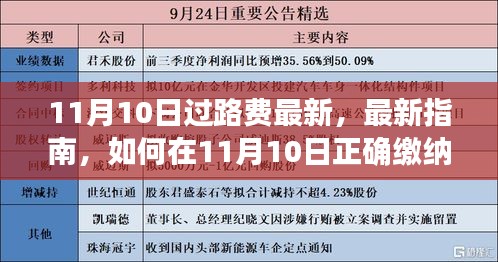 11月10日过路费缴纳最新指南，正确缴纳过路费步骤详解