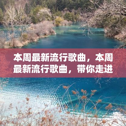 本周流行歌曲概览，带你领略音乐的魅力世界