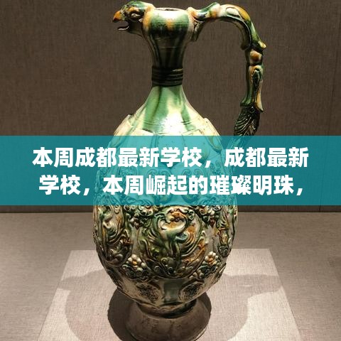 成都本周崭露头角的新学校，引领教育新篇章，璀璨明珠闪耀登场