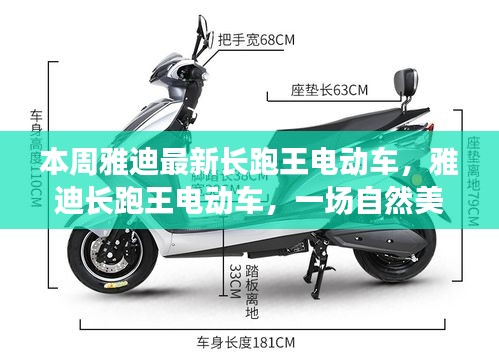 雅迪长跑王电动车，自然美景探秘之旅，启程寻找内心宁静的旅程