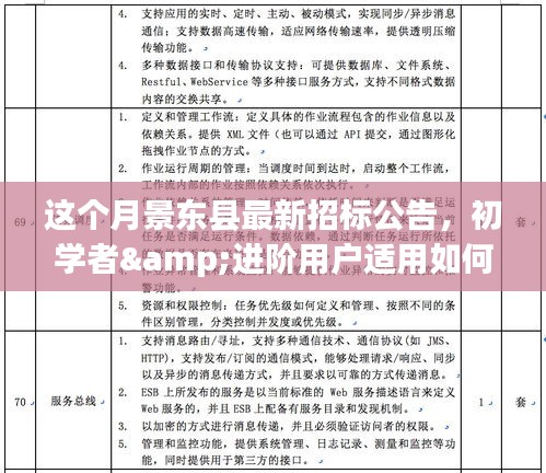 月景东县最新招标公告详解，初学者与进阶用户获取指南及理解步骤教程