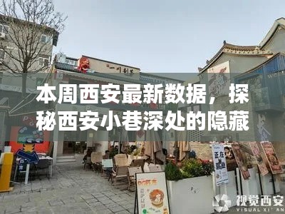 探秘西安小巷深处的隐藏瑰宝，最新特色小店大盘点本周西安数据揭秘