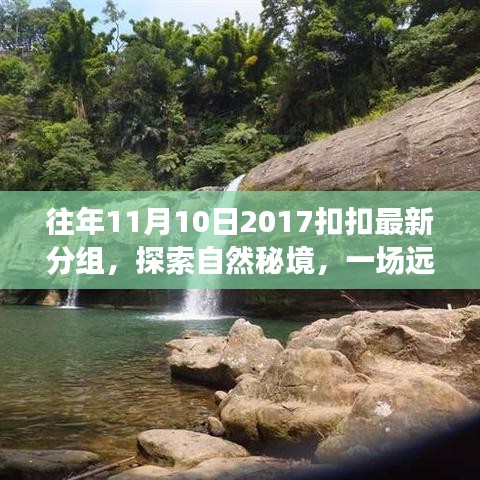 纪念美丽往年11月10日，自然秘境的心灵之旅与最新扣扣分组探索