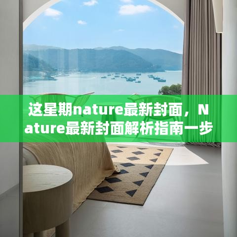 Nature最新封面探索科研美学的奥秘，封面解析指南