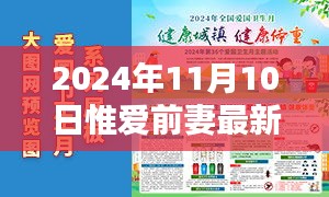 时光之笔下的惟爱前妻，最新章节回顾与影响分析 2024年11月10日更新