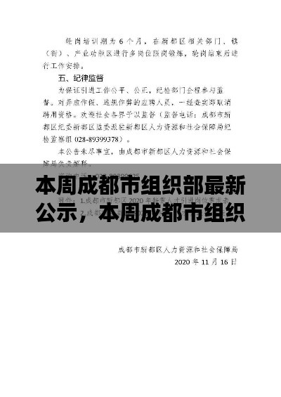 成都市组织部最新公示，人才选拔与岗位调整动态解析报告