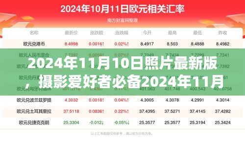 摄影爱好者必备，2024年11月10日最新版照片拍摄全攻略与美图欣赏