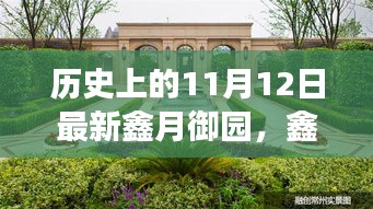 鑫月御园，温馨日常的趣事与情感纽带——11月12日回顾