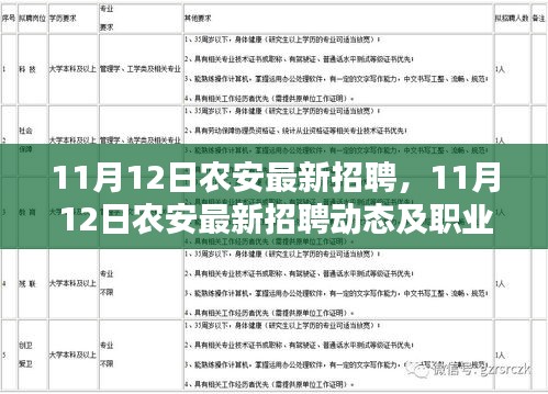 11月12日农安最新招聘动态及职业机会探索，把握职场脉搏