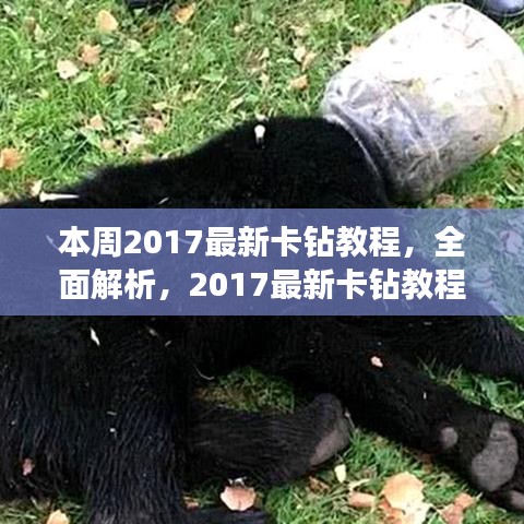 对答如流 第18页