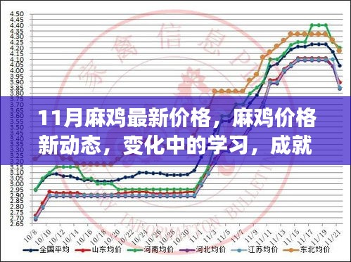 麻鸡最新价格动态，变化中的学习助力自信与荣耀的成就