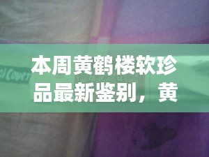 本周黄鹤楼软珍品最新鉴别指南，见证变化的力量与智慧魅力