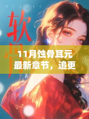 11月蚀骨耳元最新章节揭秘，追更指南与三大要点解析