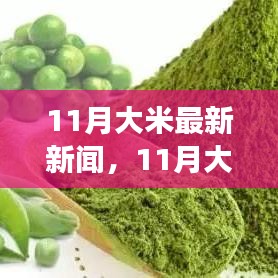 探索市场趋势与前沿动态，11月大米最新新闻速递