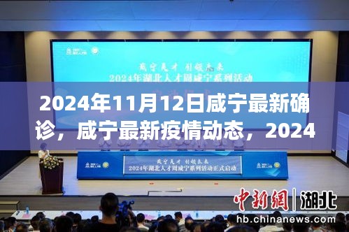 咸宁最新疫情动态深度解析，2024年11月12日确诊情况与最新动态