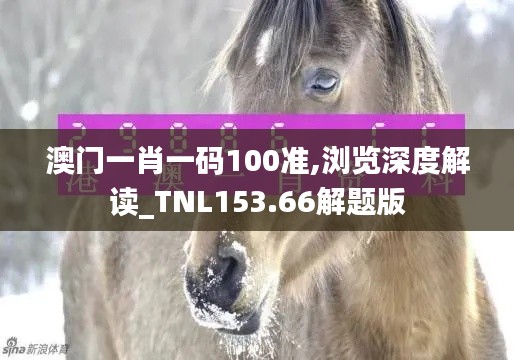 澳门一肖一码100准,浏览深度解读_TNL153.66解题版