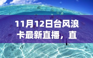 台风浪卡下的观察与观点，直播实录与多元视角