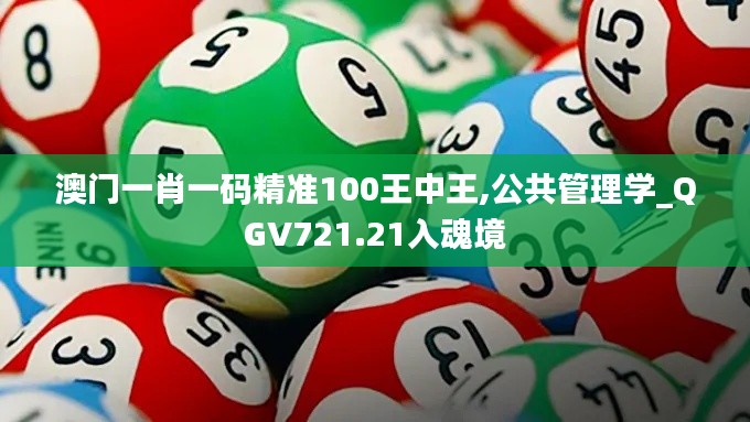 澳门一肖一码精准100王中王,公共管理学_QGV721.21入魂境