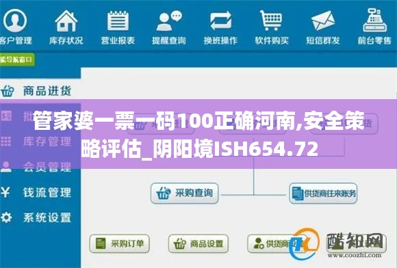 管家婆一票一码100正确河南,安全策略评估_阴阳境ISH654.72