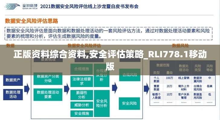 正版资料综合资料,安全评估策略_RLI778.1移动版