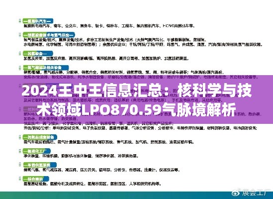 2024王中王信息汇总：核科学与技术领域LPO870.59气脉境解析