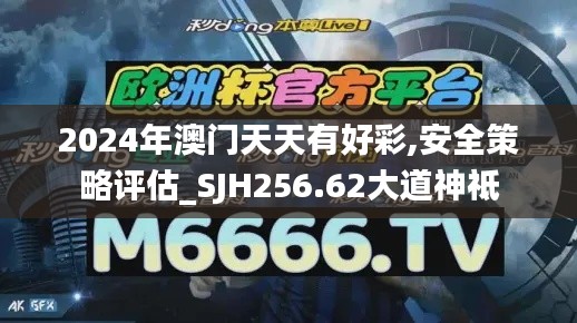 2024年澳门天天有好彩,安全策略评估_SJH256.62大道神祗