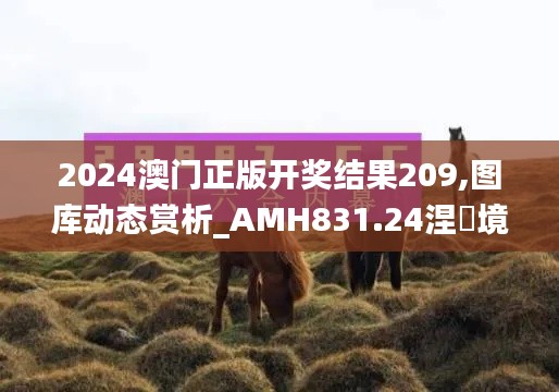 2024澳门正版开奖结果209,图库动态赏析_AMH831.24涅槃境