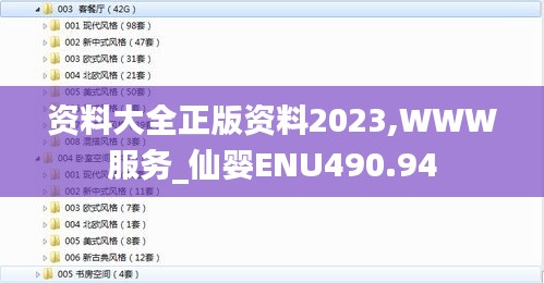 资料大全正版资料2023,WWW服务_仙婴ENU490.94