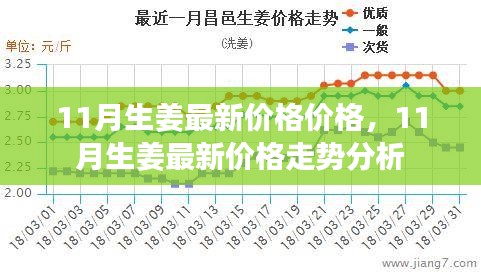 11月生姜最新价格及走势分析